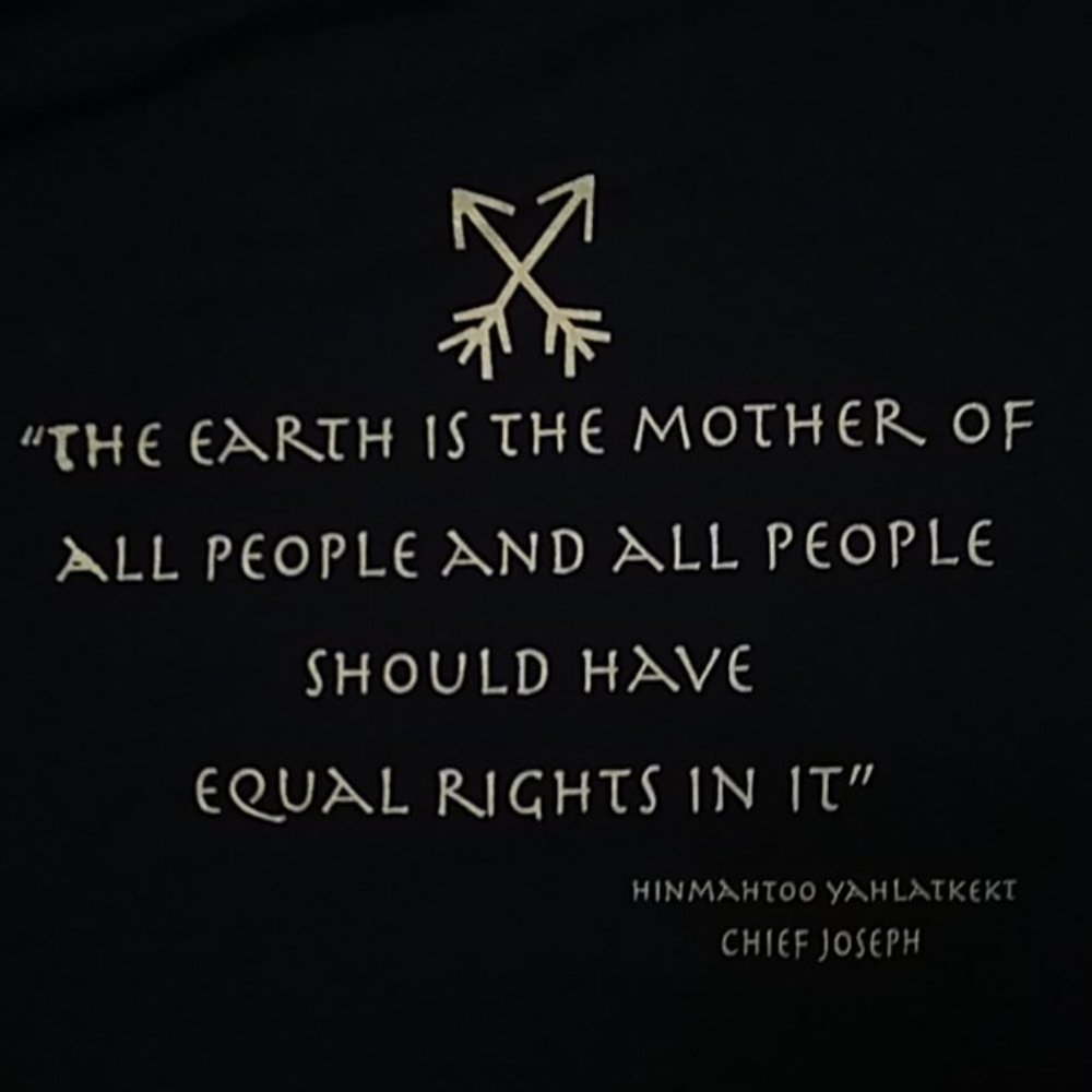 Native American T-Shirt - Picture 2 of 2